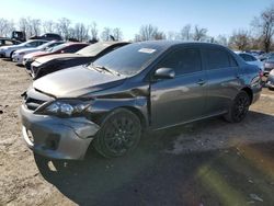 Salvage cars for sale at auction: 2013 Toyota Corolla Base