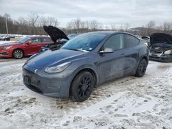 2023 Tesla Model Y en venta en Marlboro, NY