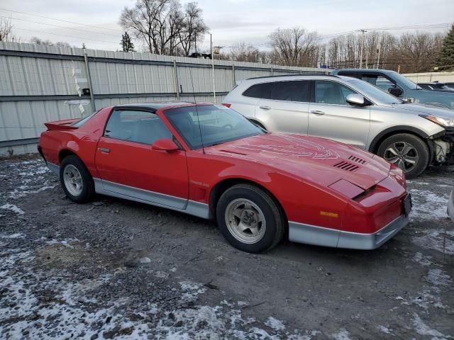 1987 Pontiac Firebird Trans AM