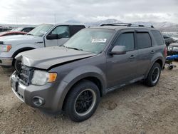 Ford salvage cars for sale: 2011 Ford Escape Limited