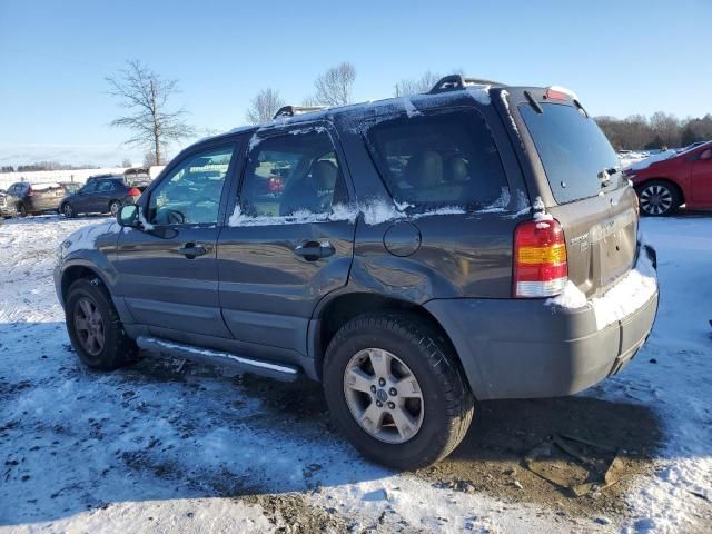 2007 Ford Escape XLT