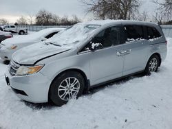 Salvage cars for sale at auction: 2013 Honda Odyssey EX