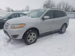 Salvage cars for sale from Copart Ontario Auction, ON: 2010 Hyundai Santa FE GLS