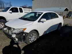 Salvage cars for sale at Spartanburg, SC auction: 2012 Toyota Corolla Base