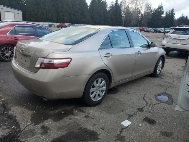 2007 Toyota Camry Hybrid