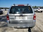 2010 Ford Escape XLS