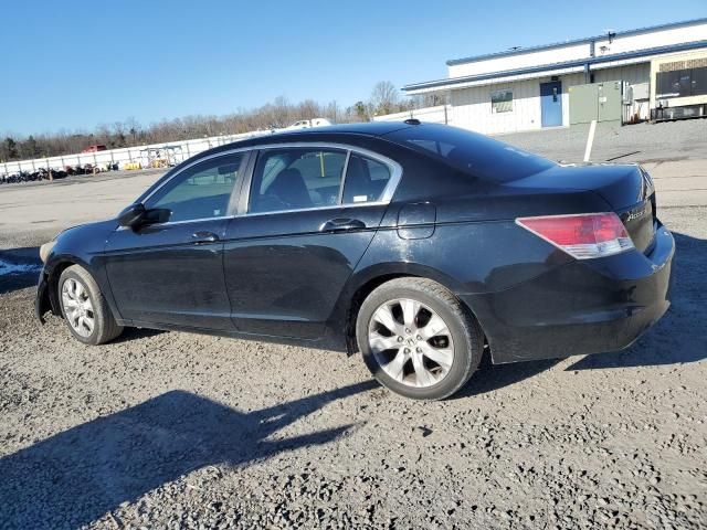 2010 Honda Accord EXL