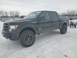 Salvage cars for sale at Barberton, OH auction: 2013 Ford F150 Supercrew