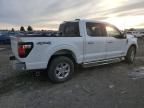 2024 Ford F150 XLT