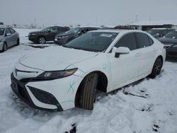 Salvage cars for sale at Brighton, CO auction: 2023 Toyota Camry SE Night Shade