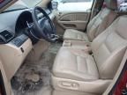 2005 Honda Odyssey EXL