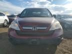 2009 Honda CR-V EX