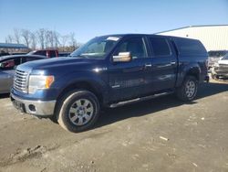 Salvage cars for sale at Spartanburg, SC auction: 2011 Ford F150 Supercrew