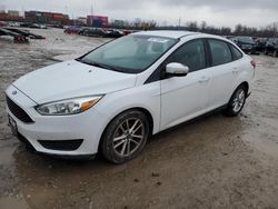 Salvage cars for sale at Columbus, OH auction: 2015 Ford Focus SE