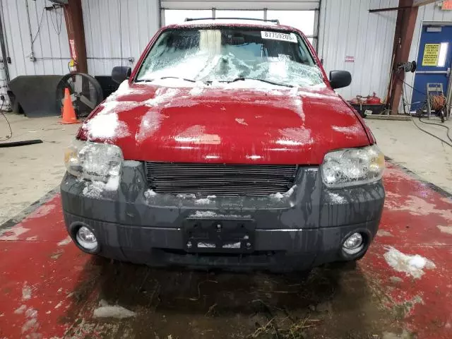 2007 Ford Escape XLT