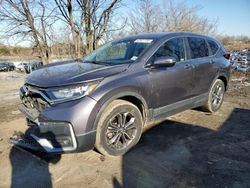 Salvage cars for sale at Baltimore, MD auction: 2020 Honda CR-V EX