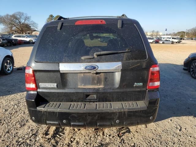 2011 Ford Escape Limited