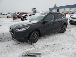 Salvage cars for sale at Woodhaven, MI auction: 2023 Ford Escape ST Line