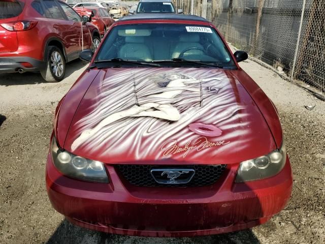 2004 Ford Mustang