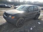 2004 Ford Escape XLT