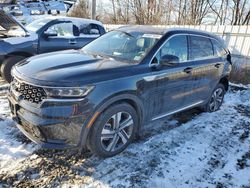 Salvage cars for sale at Windsor, NJ auction: 2023 KIA Sorento SX Prestige