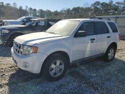 Salvage Cars with No Bids Yet For Sale at auction: 2010 Ford Escape XLT