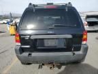 2003 Ford Escape XLT