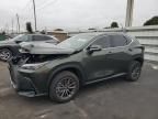 2025 Lexus NX 250 Base