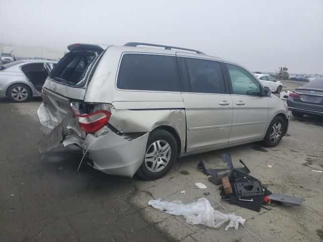 2006 Honda Odyssey EXL