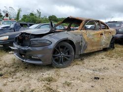 Salvage cars for sale at Kapolei, HI auction: 2017 Dodge Charger SXT