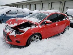 Salvage cars for sale at Louisville, KY auction: 2014 Ford Focus SE