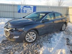 Chevrolet salvage cars for sale: 2023 Chevrolet Malibu LT