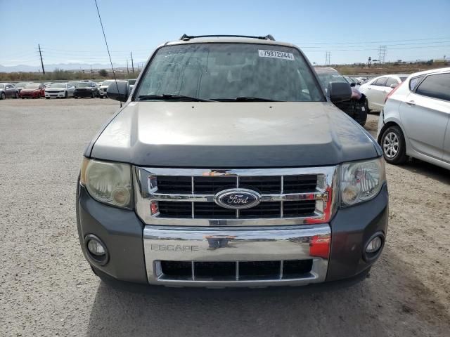 2011 Ford Escape Limited