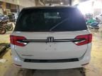 2023 Honda Odyssey EXL