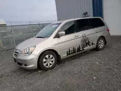 Salvage cars for sale at Elmsdale, NS auction: 2007 Honda Odyssey EX