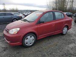 Toyota Echo salvage cars for sale: 2005 Toyota Echo