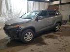 2011 KIA Sorento Base