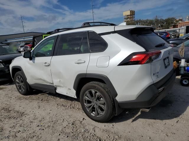 2024 Toyota Rav4 XLE Premium