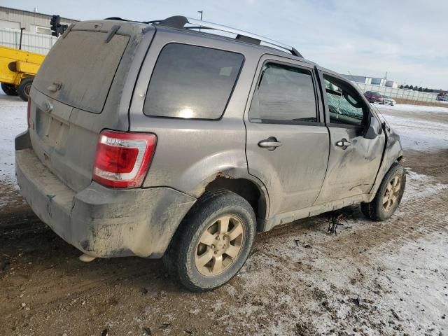 2011 Ford Escape Limited