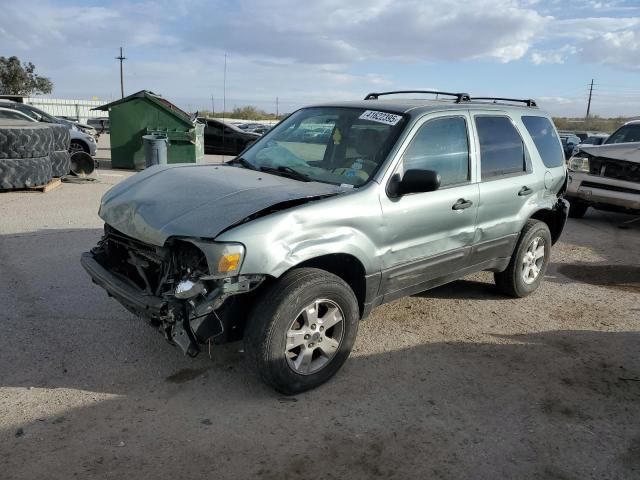 2007 Ford Escape XLT