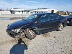 Salvage cars for sale at Lumberton, NC auction: 2014 Toyota Camry L