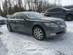 2007 Lexus LS 460