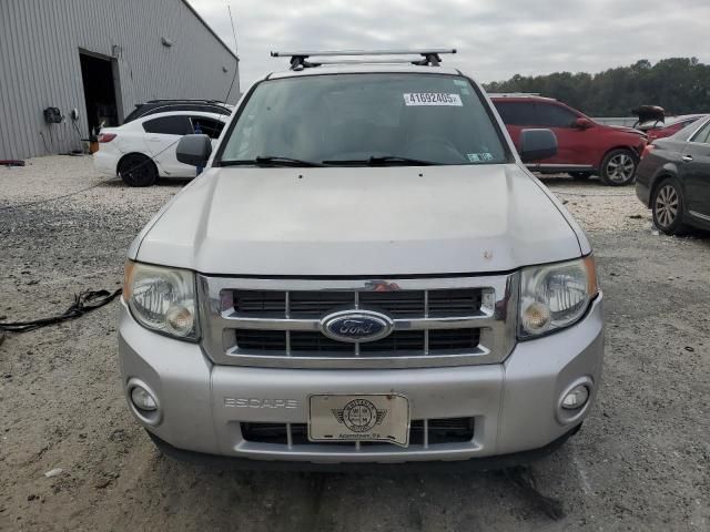 2009 Ford Escape XLT