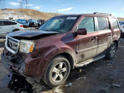 Salvage cars for sale at auction: 2009 Honda Pilot EXL