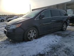 Honda salvage cars for sale: 2011 Honda Odyssey EXL