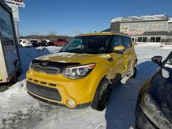 KIA Soul salvage cars for sale: 2014 KIA Soul +