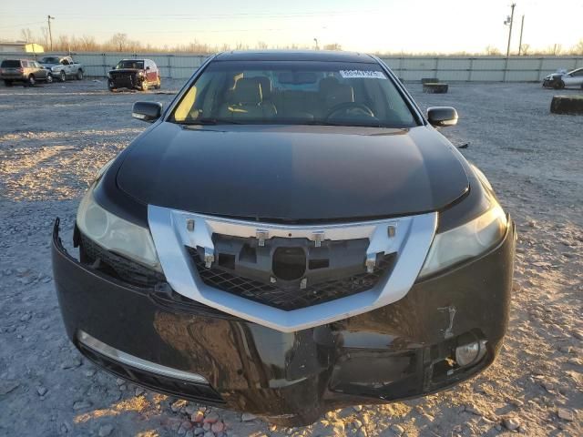 2010 Acura TL