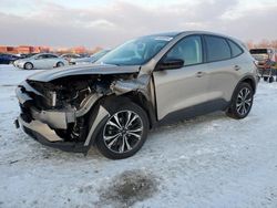 Salvage cars for sale at Columbus, OH auction: 2021 Ford Escape SE