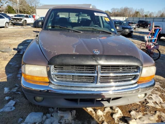 2000 Dodge Dakota Quattro