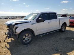 Salvage cars for sale from Copart San Antonio, TX: 2016 Ford F150 Supercrew